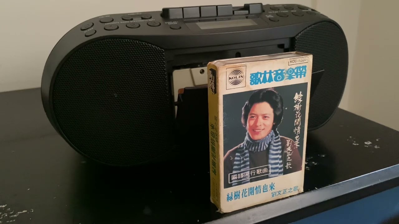 劉文正-心語