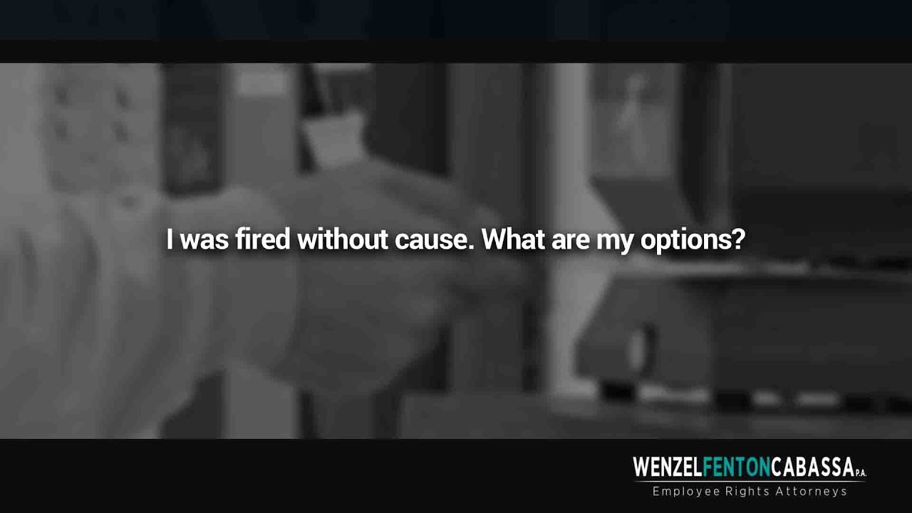 I was fired without cause. What are my options?