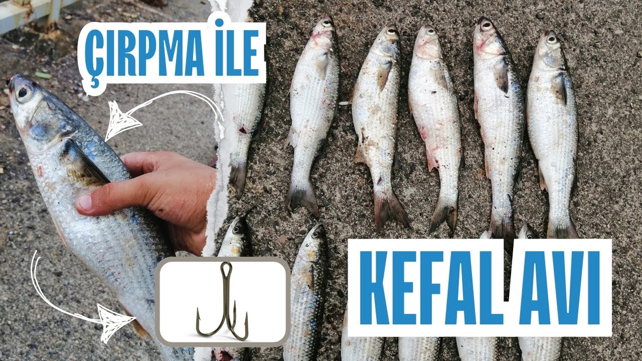 Çırpma(Çarpma) İle Kefal Avı. Kovalar Doldu, Heyecanlı Bir Av Oldu...
