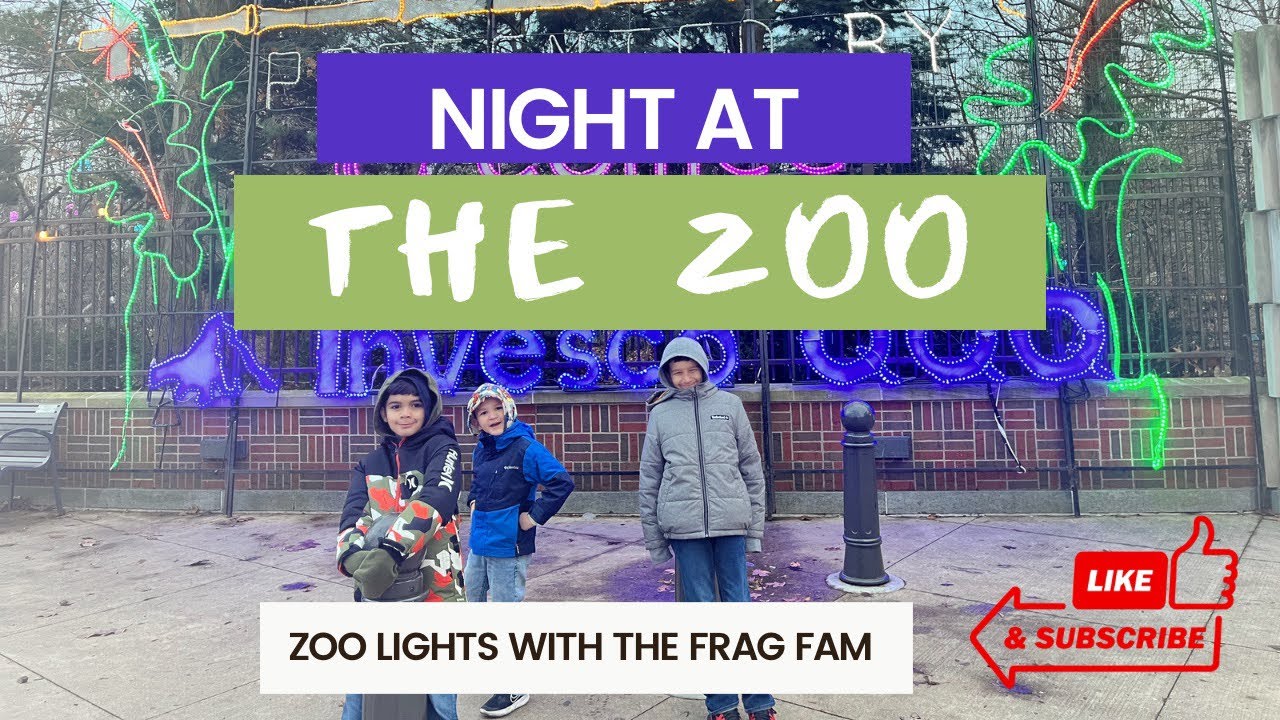 Family Fun Things To Do! ZooLights at Lincoln Park Zoo in Chicago!