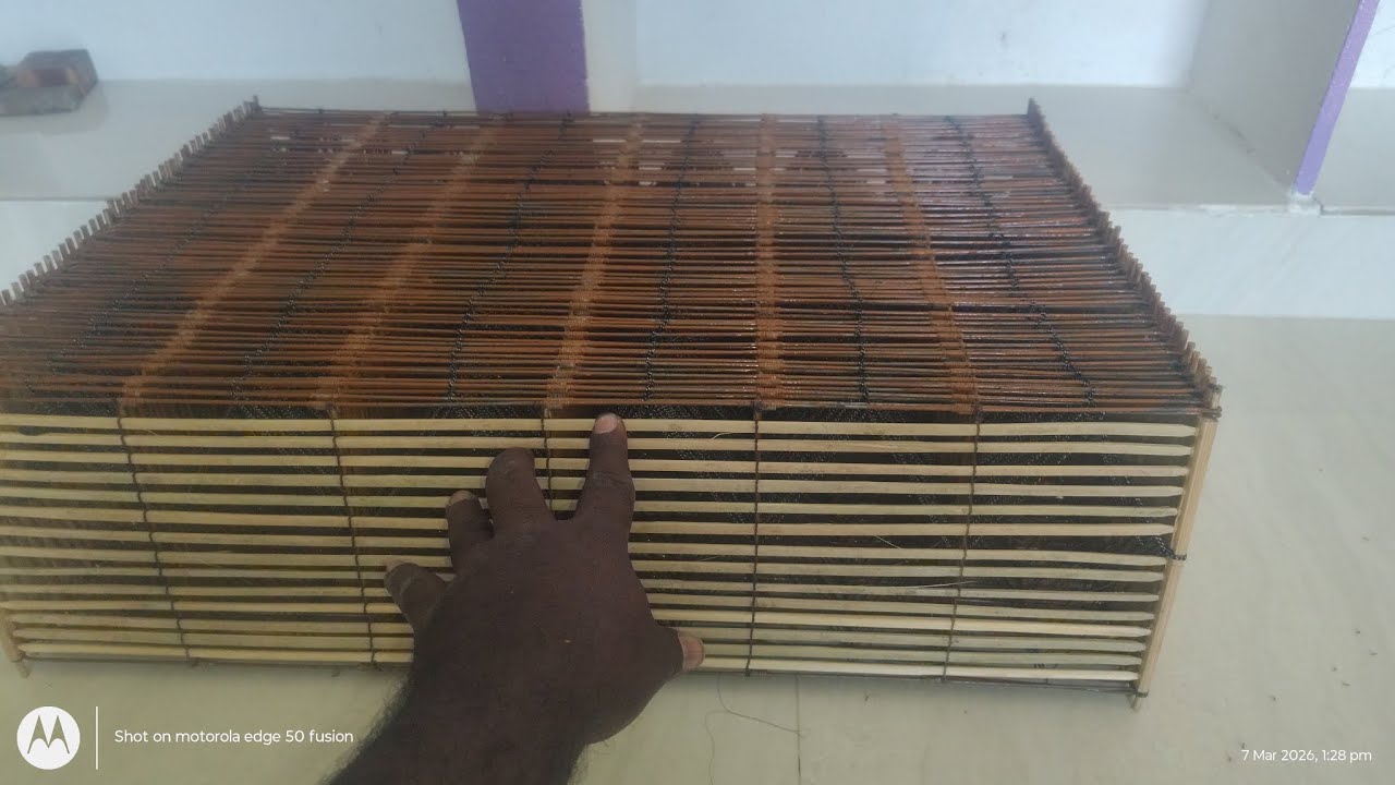 A50 kut 6 ghar. 200 fut lamba panji 50 gutilu 6 gadula panji 40 gutilu okka panji