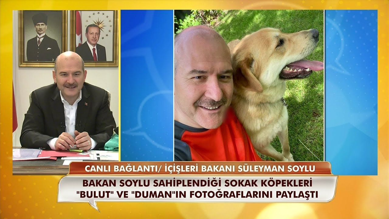 İçişleri Bakanı Süleyman Soylu:  Emniyet ve Jandarma da hayvanlara şiddet birimi kurulacak