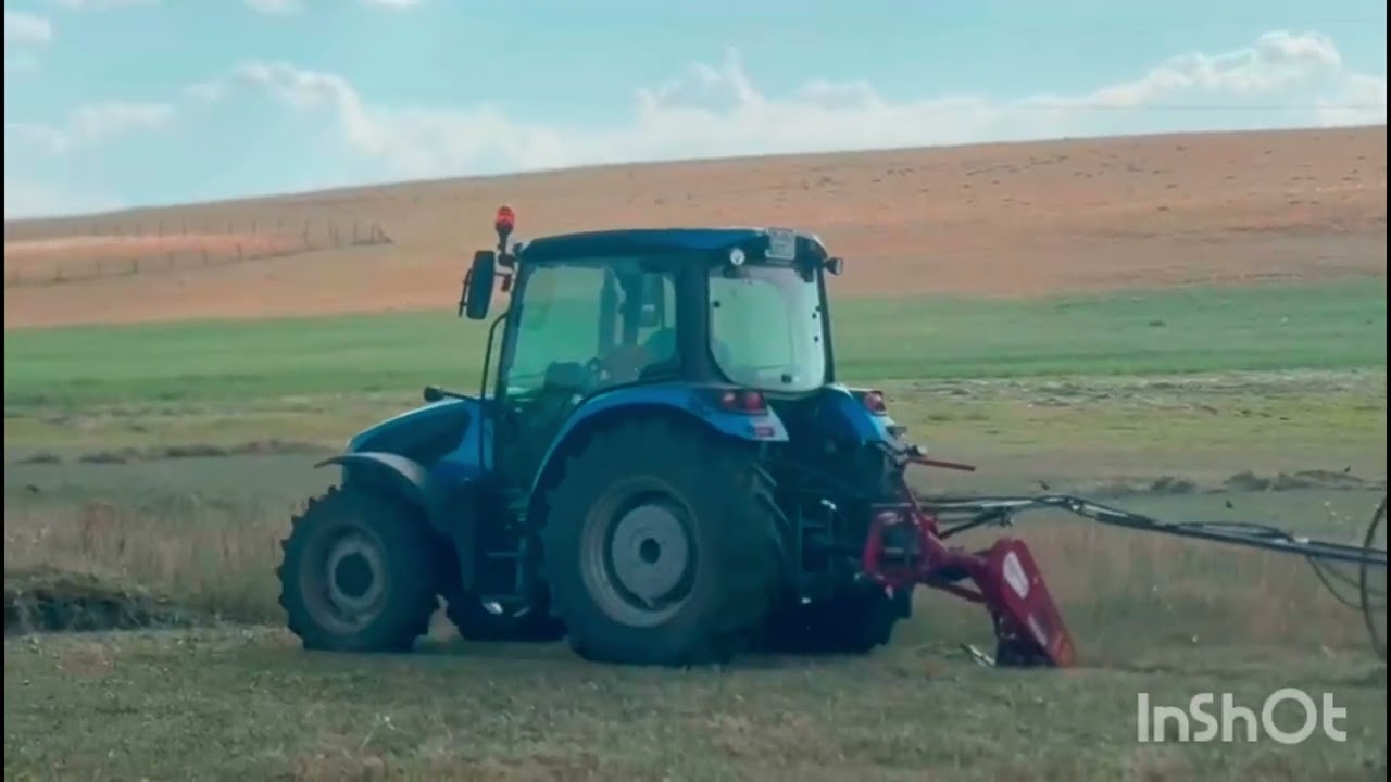 Çavuşa Rengin 23 