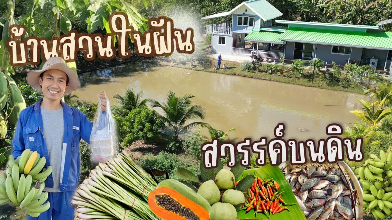 ลงทุน 2,500 เริ่มจากคนจนสู่คนพอเพียง สร้างรายได้เลี้ยงครอบครัว ชีวิตดีมีความสุขน่าอิจฉา