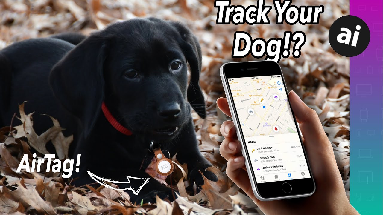 Can You Use AirTag to TRACK Your Pets!?! What About Kids!?