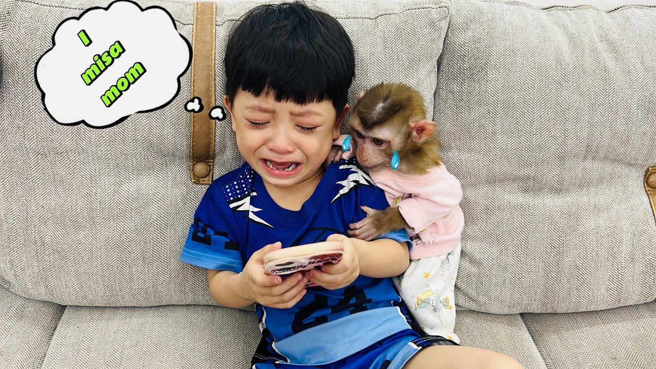 poor! monkey Diana and Roma cried and called their mother because they missed her.