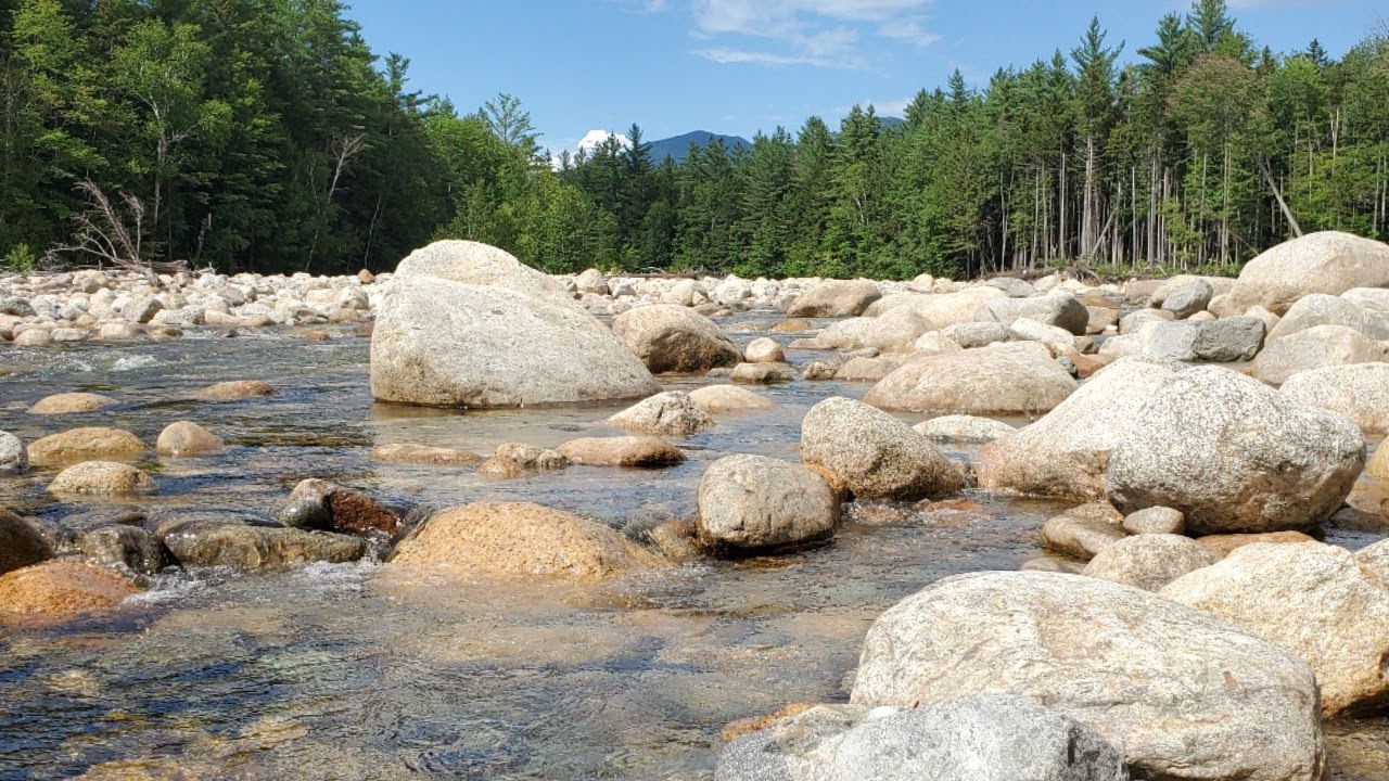 White Mountains Brook Trout