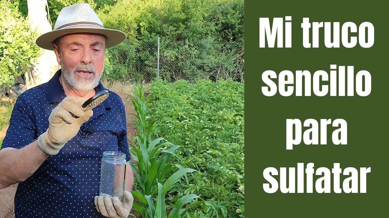 C&oacute;mo sulfatar las plantas para evitar hongos, ara&ntilde;a roja y otras plagas de manera ecol&oacute;gica y f&aacute;cil