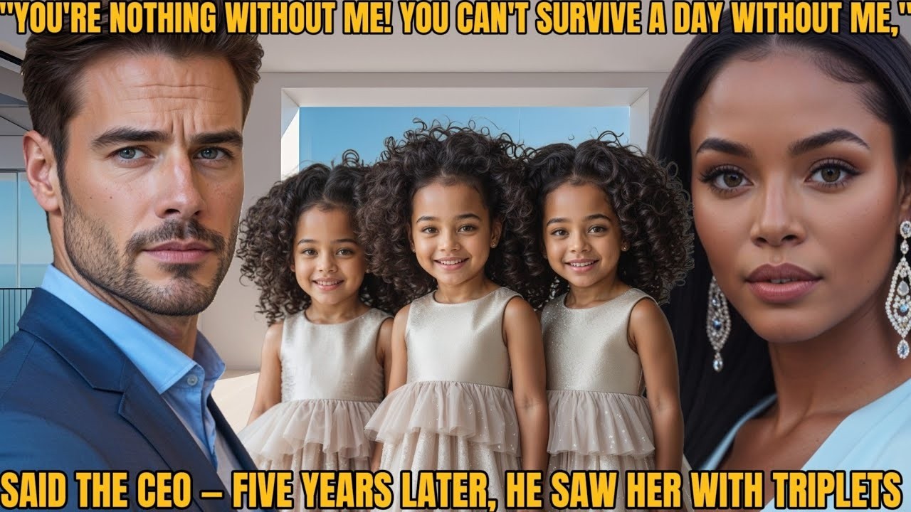 You're Nothing Without Me!  Said the Millionaire CEO — Five Years Later, He Saw Her with Triple