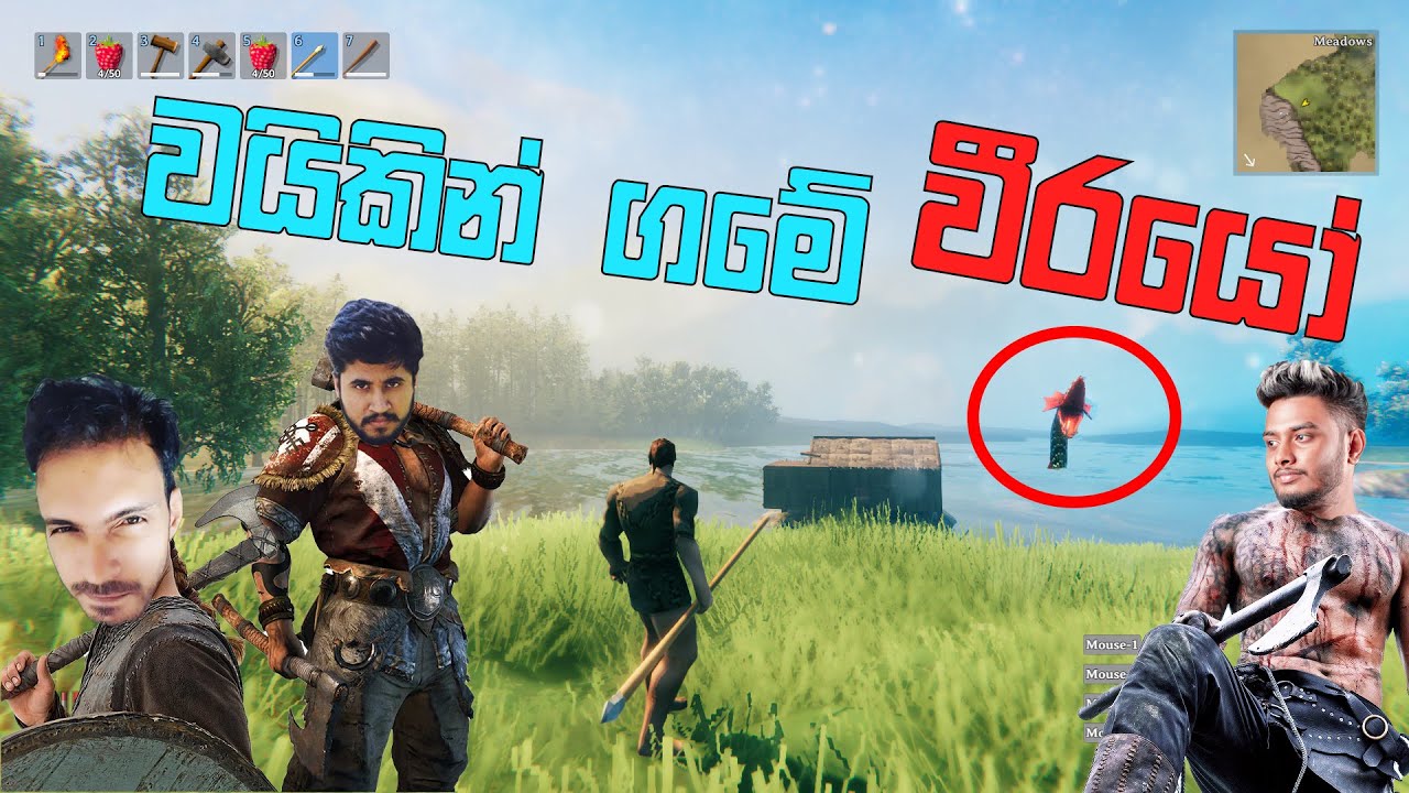 Viking ගමේ කොල්ලෝ  සෙට් එක
