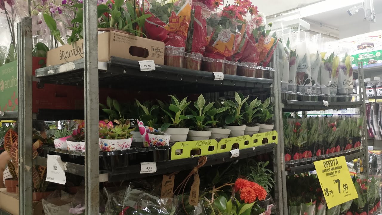 Vejam Só ! A parte 2 #Carrefour Norte Shopping RJ Imperdível lindas plantas