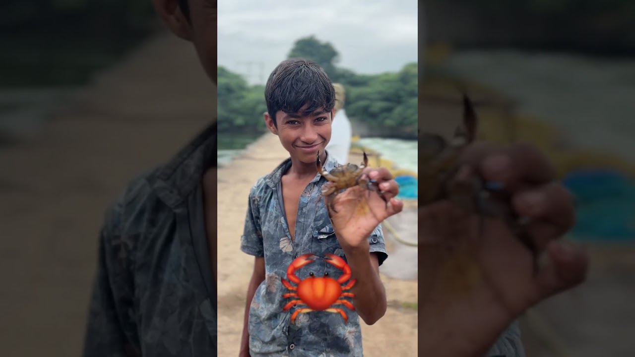 Crab 🦀  videos khekda videos #crab  #fishing #rivercrab #amazingfishing #fish