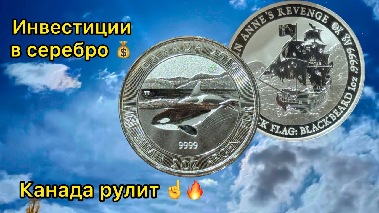 Top investment coins in the world 🔥 which silver coins are worth buying 2026 ☝️