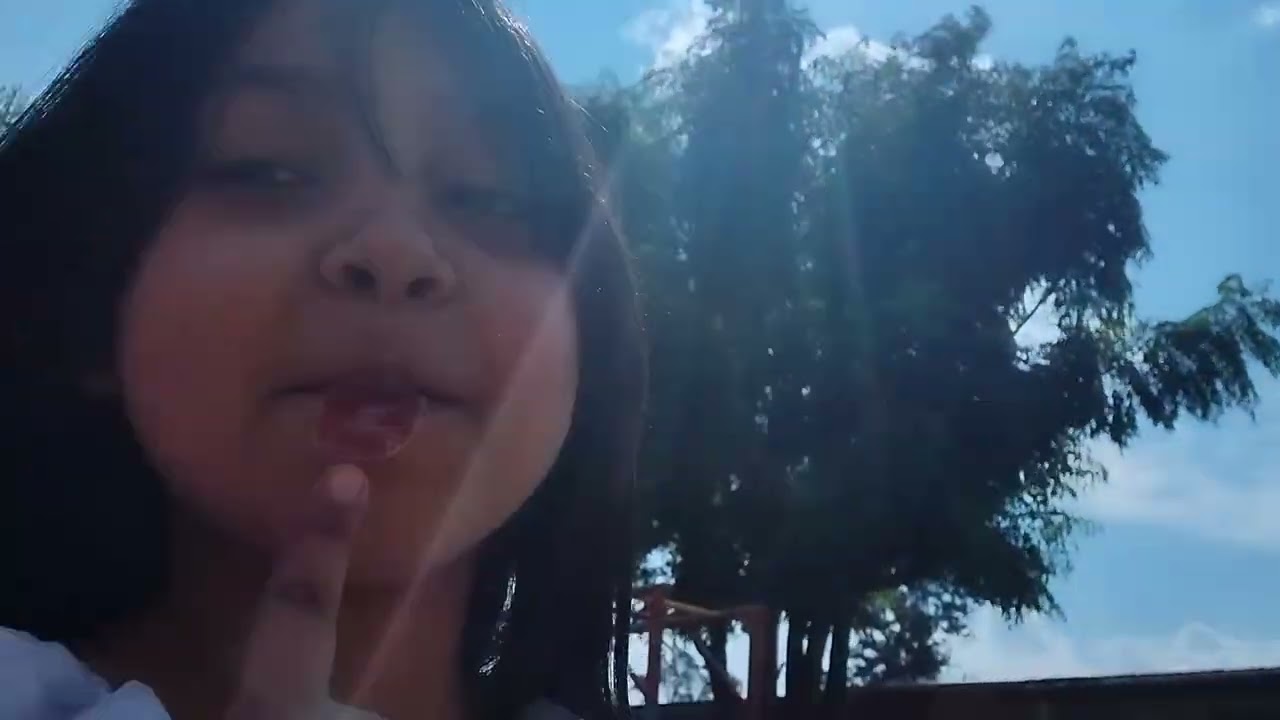 Tema:mis amigas