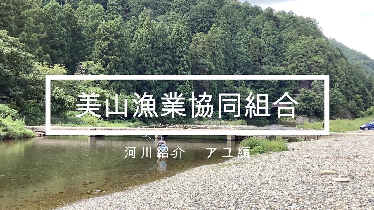 美山漁業協同組合　京都河川紹介＜アユ編＞