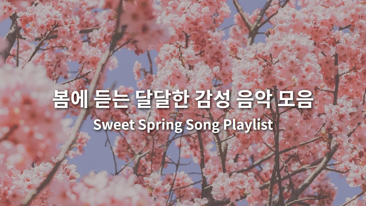 [TOP50] 봄에 듣는 달달한 감성 음악 모음 l Sweet Spring Song Playlist