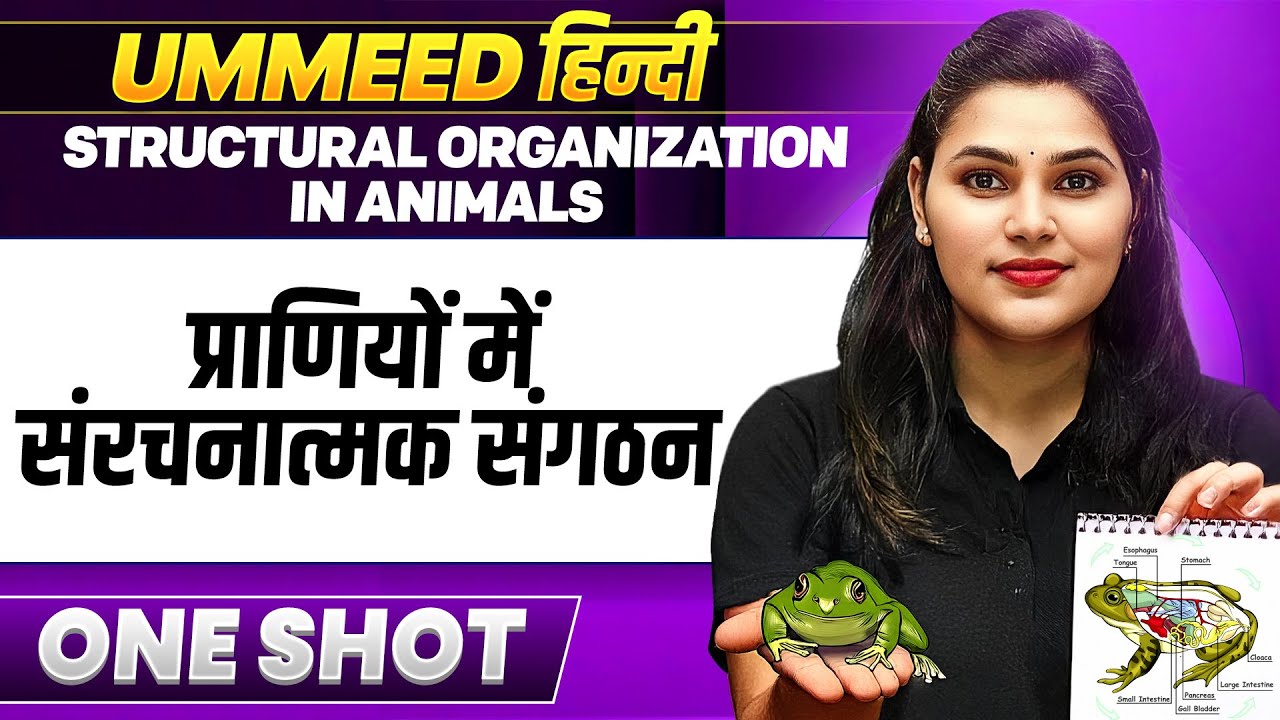 Structural Organization in Animals in One Shot | प्राणियों में संरचनात्मक संगठन | UMMEED NEET हिंदी