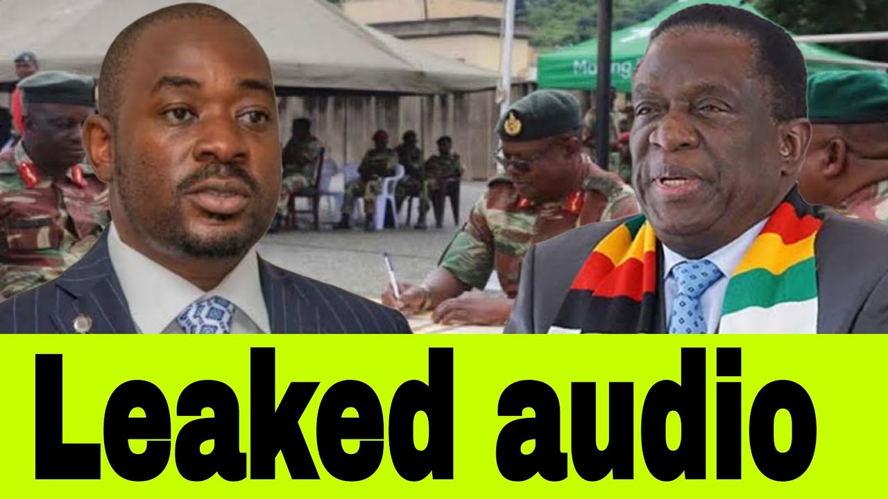 Leaked Audio | Former MID achitaura chokwadi chavhundutsa Nyika