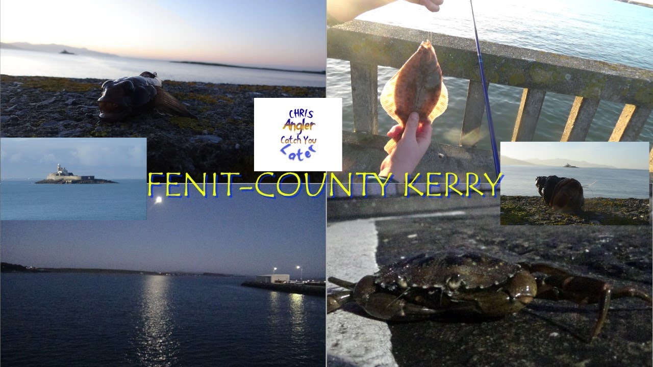 Fenit, Co-Kerry, Ireland 16-01-22