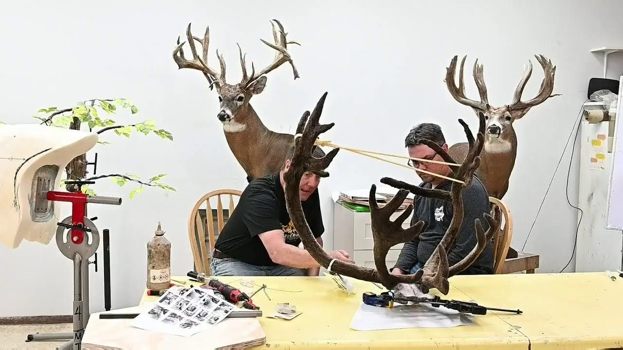 Learn Taxidermy: Part 2 - The Alaska Project