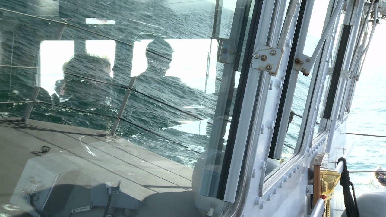 Marine maakt 1000e explosief onschadelijk