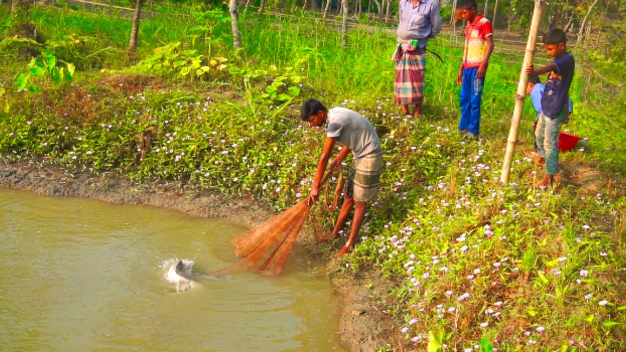 Best Cast Net Fishing Video -The Most Catch Fishing With Beautiful Natural | Fishing in Village