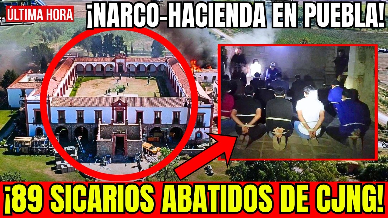 🇲🇽🚨&iexcl;GAFES IRRUMPEN EN 