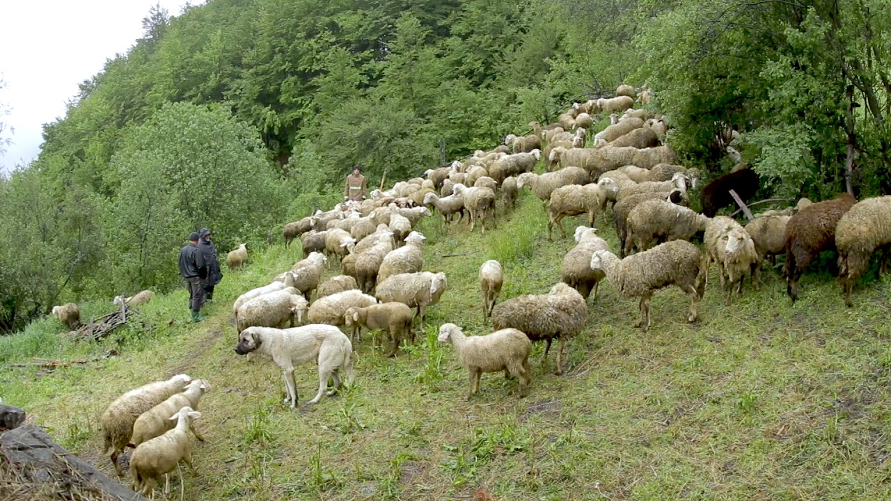 VIDEO promovuese për Malin Sharr (versioni i shkurtër)