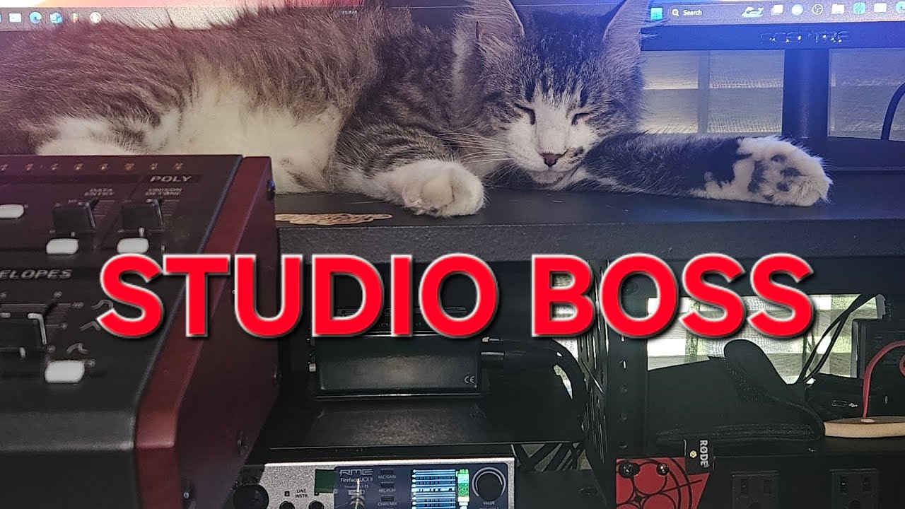 STUDIO BOSS TOUR