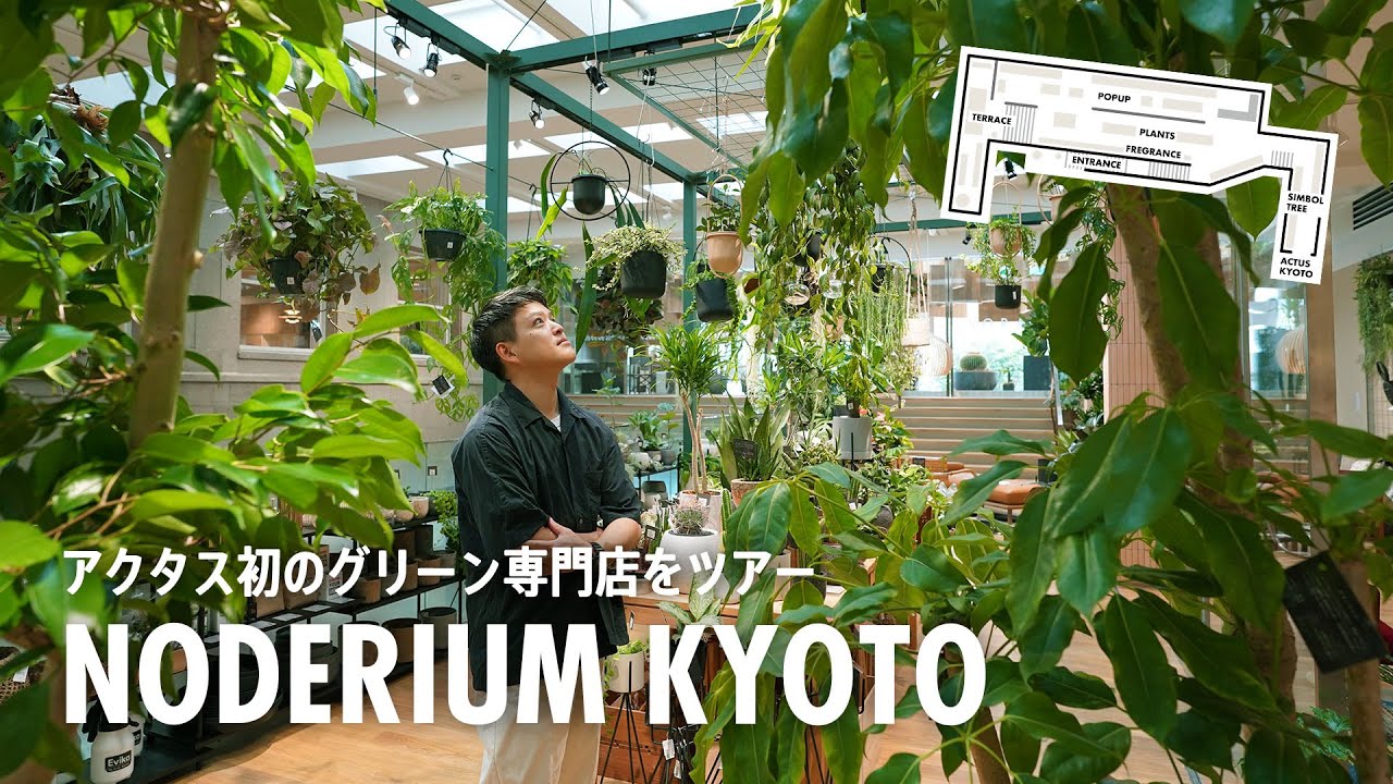 【観葉植物×インテリア】アクタス初のグリーン専門店が京都にオープンしました