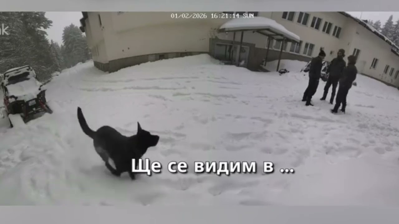 Кадри разпространени от МВР по случая Петрохан и смъртта на 6 души