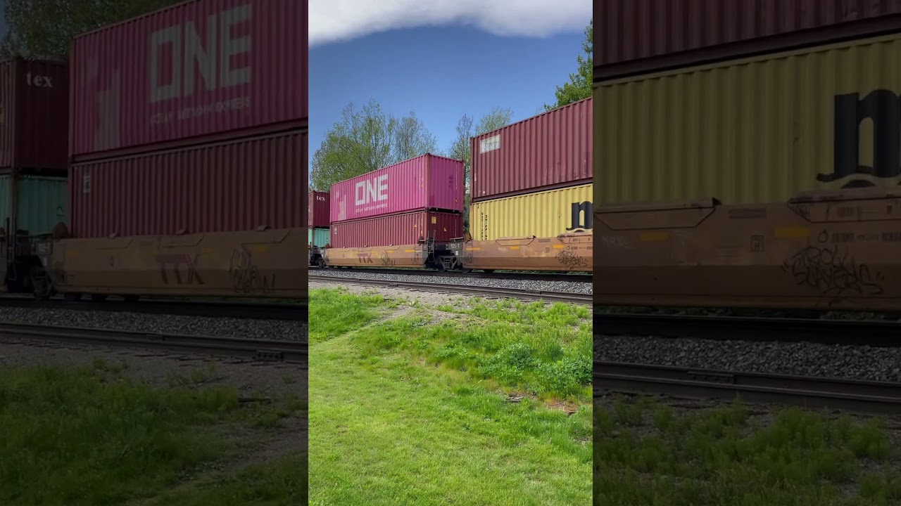 CN ES44AC container train Agassiz BC April 19, 2025 part 2