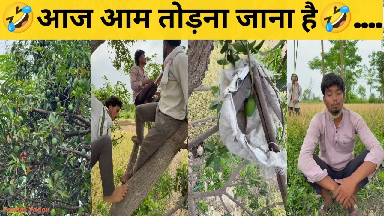 🤣 Comady And Funny Video 🤣 || 🤣आज आम तोड़ना जाना है🤣.... || #funny #comedy #video 