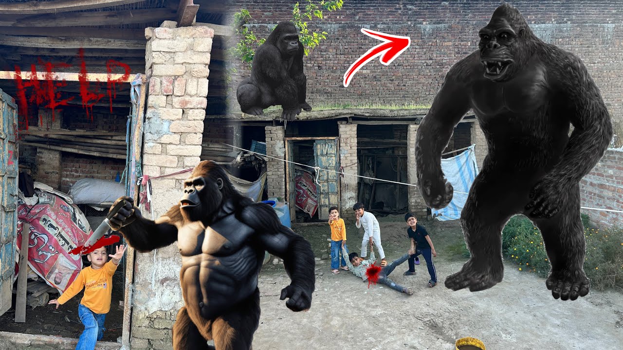 Gorilla nay fahad ko mar dia😥.#gorillaattack #snakeattack #petsvlogging 