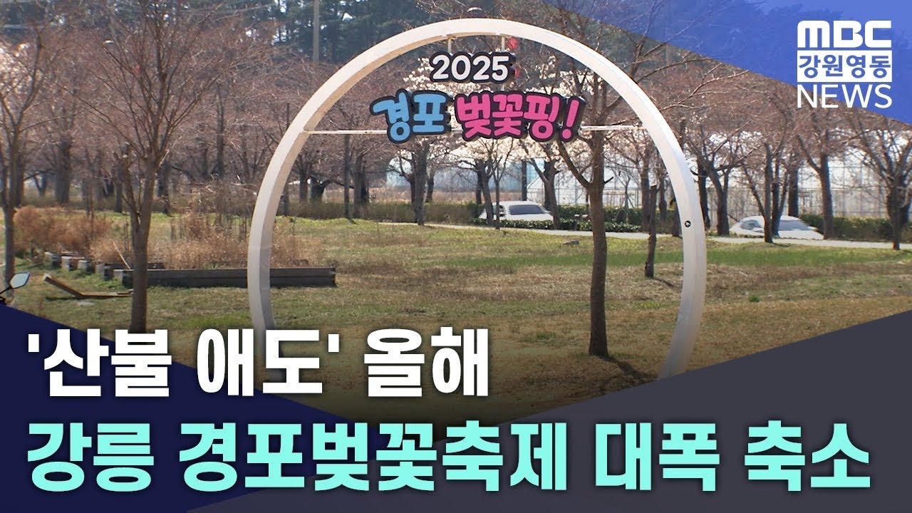 '산불 애도' 올해 강릉 경포벚꽃축제 대폭 축소 20250331