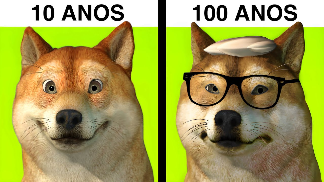 Eu vivi de 0 a 100 ANOS...