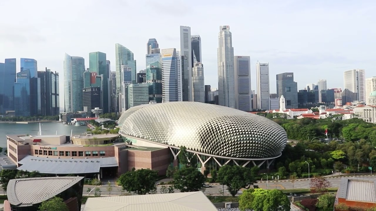 Singapore Birding Vlog