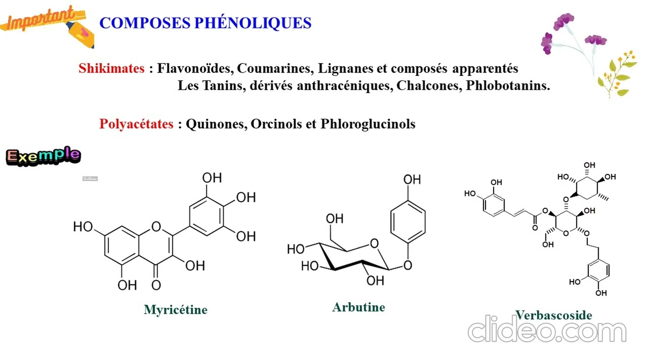 Vidéo de contenu KEBAL Leila