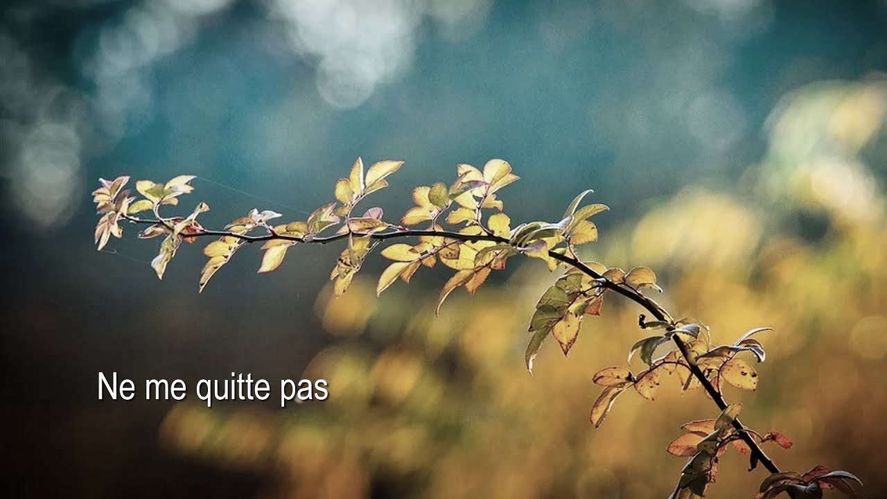 Paul Mauriat Orchestra - Ne me quitte pas