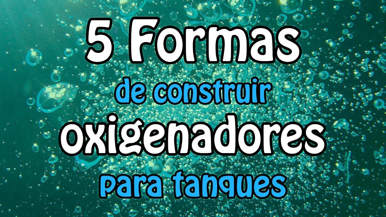 5 formas de construir oxigenadores para tanques