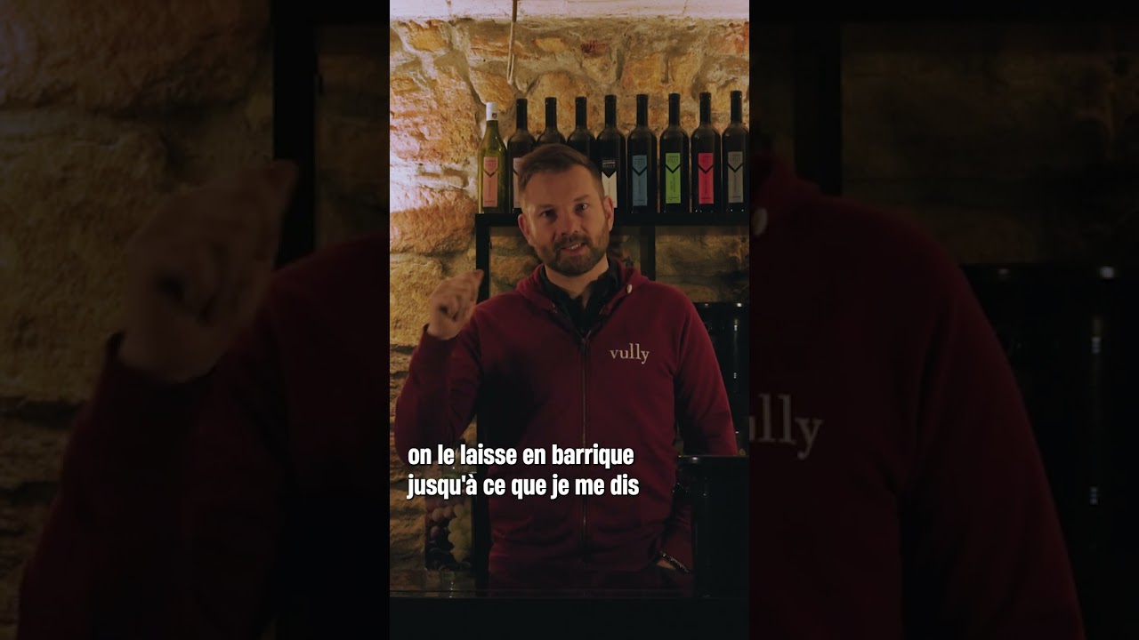Dégustation du Sauvignon blanc