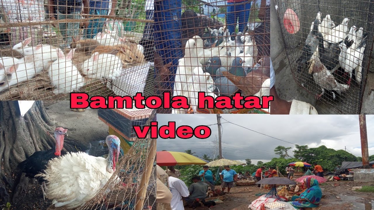 BANTALA HAT, East Kolkata, Rural market, West Bengal, only Saturday🕊️😱😱😱❤️🇮🇳🌹