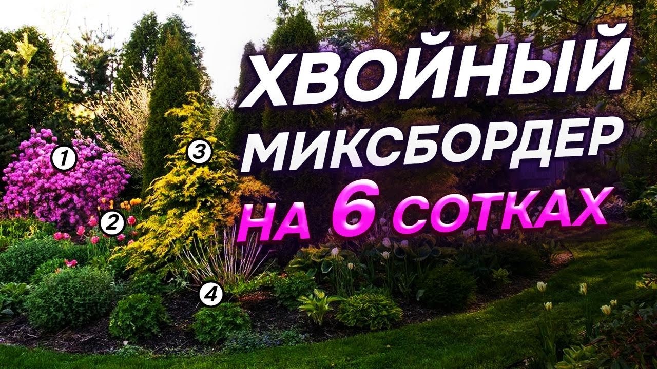 💥29 хвойных для 6 СОТОК: в чем СЕКРЕТ гармоничных композиций?