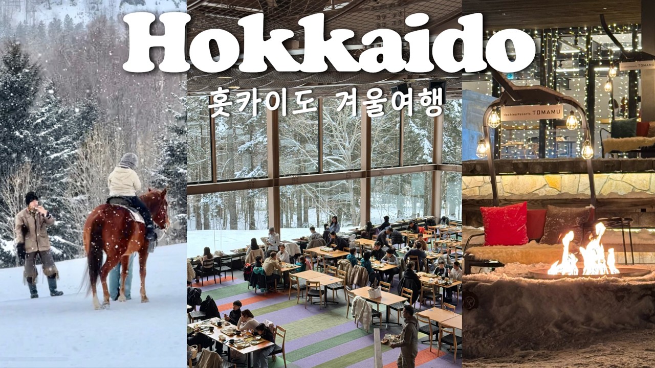 겨울 홋카이도 근본❄️｜비에이 투어 말고 실패없는 토마무로☃️｜호시노 리조트 가이드｜겨울 숲 속 최고의 뷰 맛집