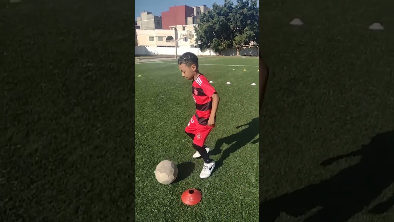 نجم ج.نجوم سمراء فيئة:2015