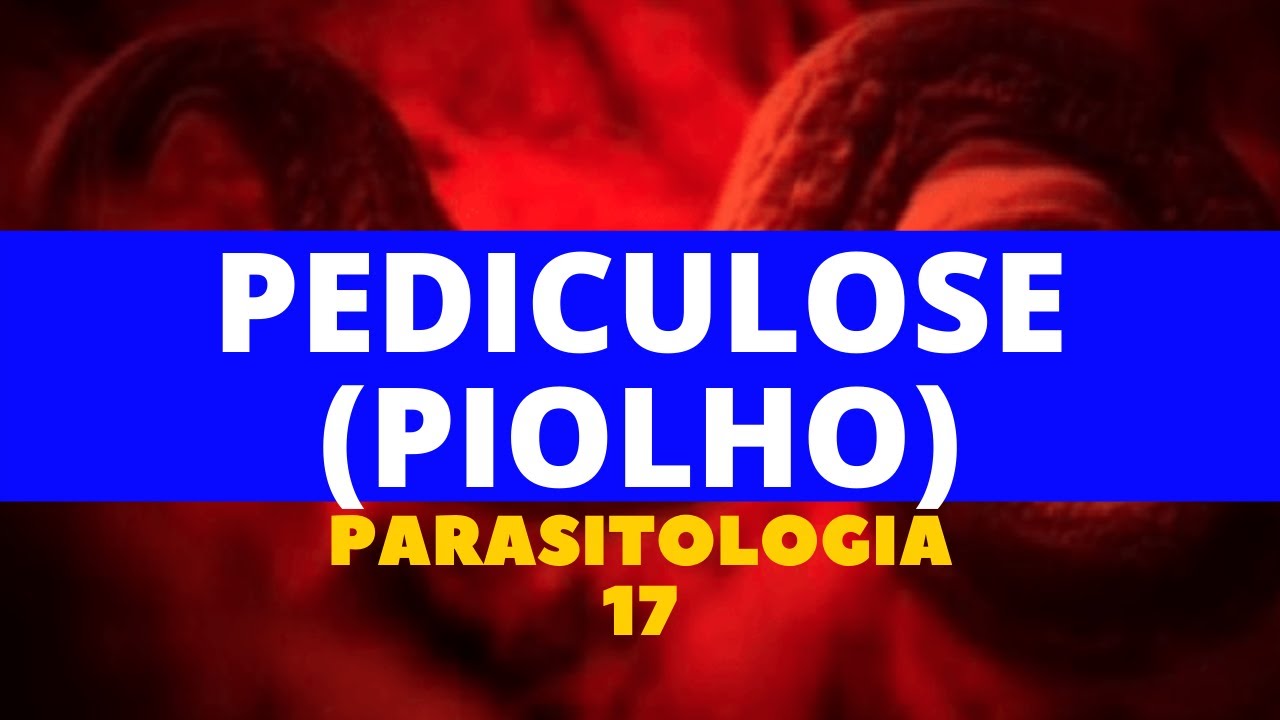 PEDICULOSE (PIOLHO) - PARASITOLOGIA 17