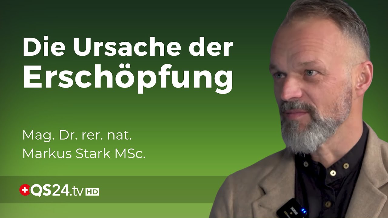 Nebennierenschwäche - grundlos energielos gibt es nicht | Dr. rer. nat. Markus Stark MSc. | QS24