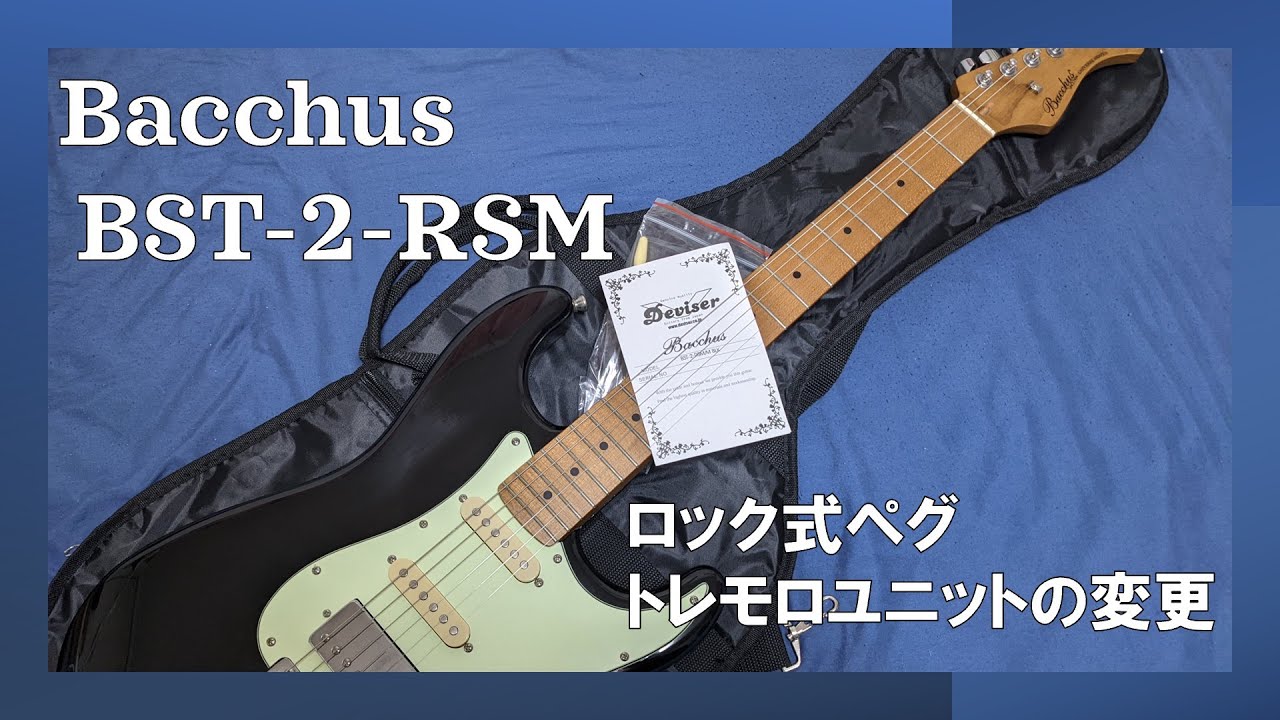 Bacchus BST-2-RSMそのままじゃイヤだったのでロック式ペグとウィルキンソン製トロモロに変更。ギター込みで総額 約15,000円。