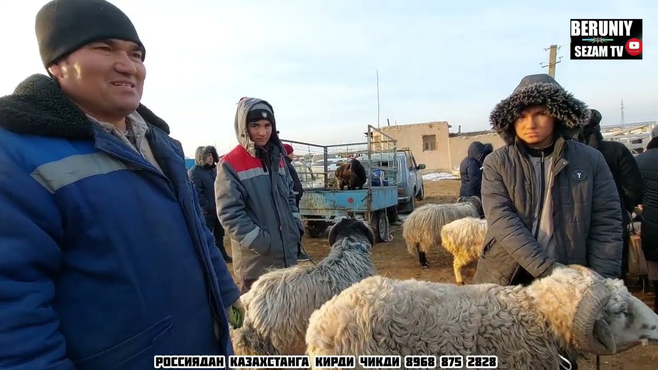 БЕРУНИЙ КУЙ КУЧКОР БОЗОРИ 21.01.2024