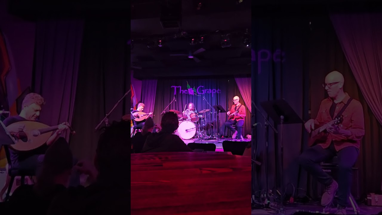 Treehouse - Dimitris Mahlis Trio @ The Grape (1/6/2024)
